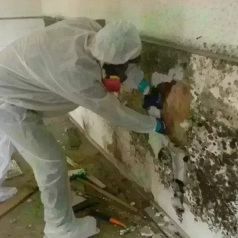 Mold Remediation and Removal in Kingston, NH